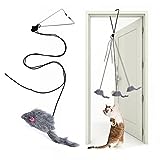 Kalimdor Interactive Cat Feather Toys,Retractable Cat Teaser Toy ，Hanging Interactive cat Toys for Indoor Cats Kitten Play Chase Exercise, Kitten Fun Mental Physical Exercise Kitten Toys (1 Pack)