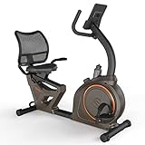Niceday Indoor Recumbent Exercise Bike Workout Equipment for Home Gym 400LBS Weight Capacity