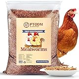 Hatortempt 10lbs Non-GMO Bulk Dried Mealworms - Premium Organic Chicken Feed, Nutritious High Protein Meal Worms- Food and Treats for Laying Hens, Wild Birds, Ducks, Reptiles, Fish, Hedgehogs, Turtles