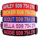 GoTags Personalized Dog Collar, Custom Embroidered with Pet Name and Phone Number in Blue, Black, Pink, Red and Orange, for Boy and Girl Dogs, 4 Adjustable Sizes, XSmall, Small, Medium, and Large