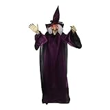 Life Size Halloween Haunters Hanging Talking Witch, 75.6' Animated Standing Speaking Scary Evil Wicked Witch with Glowing Red Eyes, Adjustable Arms, Outdoor Yard Haunted House Creepy Props Decor