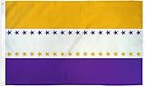 12X18 19th Amendment Flag Women's Rights Suffrage Suffragette Historical Flag