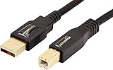 Amazon Basics USB-A to USB-B 2.0 Cable for Printer or External Hard Drive, Gold-Plated Connectors, 6 Foot, Black