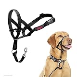 HALTI Headcollar - To Stop Your Dog Pulling on the Leash. Adjustable, Reflective and Lightweight, with Padded Nose Band. Dog Training Anti-Pull Collar for Medium Dogs (Size 3, Black)