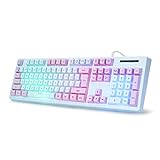 HUO JI Gaming Keyboard USB Wired with Rainbow LED Backlit, Quiet Floating Keys, Mechanical Feeling, Spill Resistant, Ergonomic for Xbox, PS Series, Desktop, Computer, PC, Blue Purple
