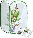 RESTCLOUD Insect and Butterfly Habitat Cage Terrarium Pop-up 23.6 Inches Tall