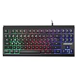 Lumsburry Rainbow LED Backlit 87 Keys Gaming Keyboard, Compact Keyboard with 12 Multimedia Shortcut Keys USB Wired Keyboard for PC Gamers Office