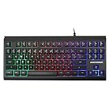 Lumsburry Rainbow LED Backlit 87 Keys Gaming Keyboard, Compact Keyboard with 12 Multimedia Shortcut Keys USB Wired Keyboard for PC Gamers Office