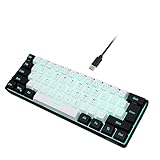 Snpurdiri 60% Wired Gaming Keyboard, RGB Backlit Ultra-Compact Mini Keyboard, Waterproof Small Compact 61 Keys Keyboard for PC/Mac Gamer, Typist, Travel, Easy to Carry on Business Trip(Black-White)