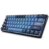 RK ROYAL KLUDGE RK61 Plus Wireless Mechanical Keyboard, 60% RGB Gaming Keyboard with USB Hub, Hot Swappable Computer PC Keyboards with Bluetooth/2.4G/Wired Modes, Silence Linear SkyCyan Switches