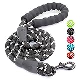 BAAPET 2/4/5/6 FT Dog Leash with Comfortable Padded Handle and Highly Reflective Threads for Small Medium and Large Dogs (5FT-1/2'', Black)