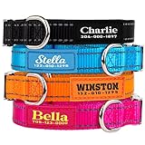 PAWBLEFY Personalized Dog Collars - Reflective Nylon Collar Customized with Name and Phone Number - Adjustable Sizes for Small Dogs, Medium, and Large - 4 Colors for Male Female boy Girl Puppies