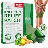 Pain Relief Patches, Warming Herbal Plaster Pain Patches, Knee Pain Relief Patch, Knee Patches For Pain Relief Bone on Bone Extra Strength,12 Hour Long Lasting Relief of Joint Pains, 12 Count