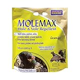 Bonide MOLEMAX Mole & Vole Repellent Granules, 10 lbs. Ready-to-Use, Outdoor Lawn & Garden Mole Control, People & Pet Safe