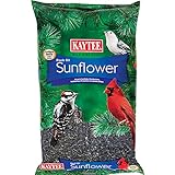 Kaytee Wild Bird Black Oil Sunflower Food, 5 Pounds