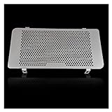 for LONCIN VOGE 500DS 500R 300DS 500DS 500R 300R 500AC Motorcycle Radiator Grille Guard Protector Cover 300 500 AC/DS/R LX300-6C Protective Cover Grill (Color : 500 AC R2, Size : One Size)