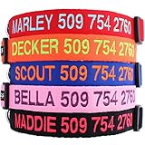 GoTags Personalized Dog Collar, Custom Embroidered with Pet Name and Phone Number in Blue, Black, Pink, Red and Orange, for Boy and Girl Dogs, 4 Adjustable Sizes, XSmall, Small, Medium, and Large